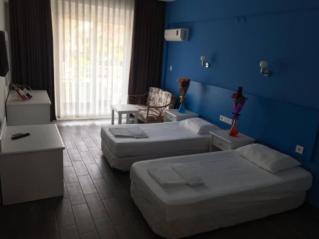 Hanci Alanya